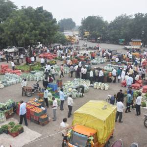 BHAJIPALA_HARASHI2_original