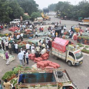 BHAJIPALA_HARASHI3_original